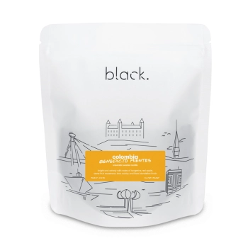 colombia • benedicto puentes