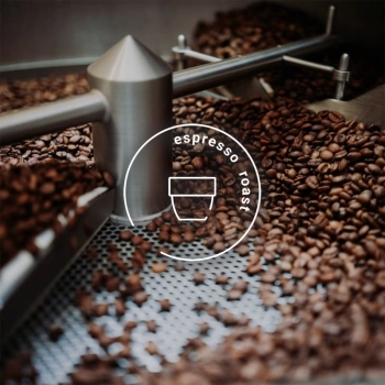 blend • black sheep